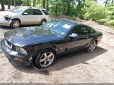 Ford Mustang Gt Deluxe/Gt Premium 1ZVHT82H575202953 снимка