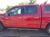 Ford F-150 Xlt 1FTEW1E50KKE93667 снимка
