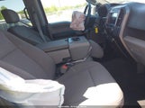 Ford F-150 Xlt 1FTEW1E50KKE93667 снимка