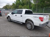Ford F-150 Xlt 1FTFW1ET1BKD51203 снимка