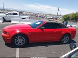 Ford Mustang V6 1ZVBP8EM6E5304889 снимка
