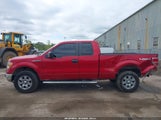 Ford F-150 Fx4/Lariat/Xl/Xlt 1FTFX1EV2AFD74835 photo