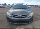 Toyota Corolla Le JTDBU4EE4BJ092087 fotografie