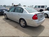 Chevrolet Malibu Lt 1G1ZU54805F251803 снимка