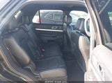 Ford Explorer Xlt 1FM5K7D82GGB69829 photo