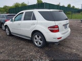 Mercedes-Benz Ml 350 4Matic 4JGBB8GB9AA616408 photo