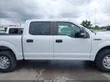 Ford F-150 Xl 1FTEW1E54JFD05109 снимка