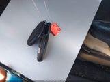 Miniaturka zdjęcia 11