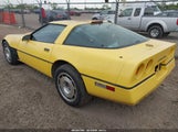 Chevrolet Corvette 1G1YY2186H5117827 снимка
