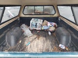 Chevrolet S-10 Ls 1GCCT19X8WK107756 fotografie