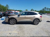 Ford Escape Sel Hybrid 1FMCU0CZ1MUA42537 fotografie