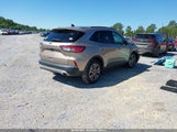 Ford Escape Sel Hybrid 1FMCU0CZ1MUA42537 photo
