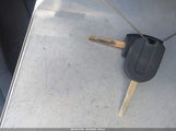 Miniaturka zdjęcia 11