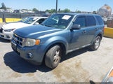 Ford Escape Xlt 1FMCU9DG9AKD25681 снимка
