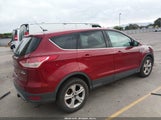 Ford Escape Se 1FMCU0GX9EUB76724 снимка