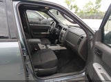 Ford Escape Xlt 1FMCU0DG7AKA03309 снимка