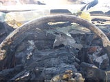 Toyota Tacoma Trd Off Road 3TYCZ5AN3PT173159 photo