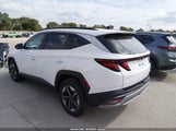 Hyundai Tucson Sel 5NMJB3DE4SH460769 снимка