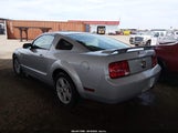 Ford Mustang V6 Deluxe/V6 Premium 1ZVHT80N275207441 photo