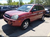 Hyundai Tucson Gl KM8JM72B46U399069 снимка