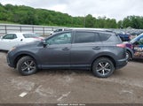Toyota Rav4 Xle 2T3RFREV9GW459824 снимка