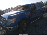 Ford F-150 Xlt 1FTFX1EF2DFD54601 fotografie