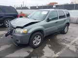 Ford Escape Hybrid 1FMCU49H67KA31717 снимка