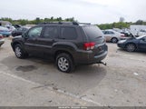 Mitsubishi Endeavor 4A4JN2AS9BE004385 снимка