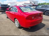 Acura Tsx JH4CL96845C012596 снимка