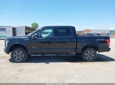 Ford F-150 Xlt 1FTEW1EGXFFB79735 снимка