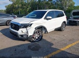 Honda Passport Awd Ex-L 5FNYF8H5XNB027473 fotografie