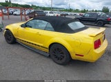 Ford Mustang 1ZVHT84NX55233051 снимка