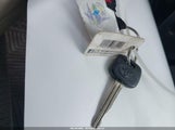 Miniaturka zdjęcia 11