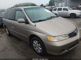Honda Odyssey Ex-L 5FNRL18734B084201 снимка