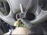 Miniaturka zdjęcia 11