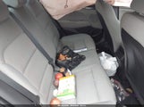 Miniaturka zdjęcia 8