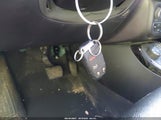 Miniaturka zdjęcia 11
