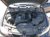 Miniaturka zdjęcia 10