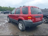 Ford Escape Xlt 1FMYU031X3KA10390 снимка