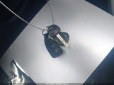 Miniaturka zdjęcia 11