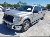 Ford F-150 Fx2 Sport/Harley-Davidson/King Ranch/Lariat/Platinum/Xl/Xlt 1FTFW1CV6AFC44787 photo