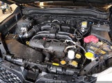 Subaru Forester 2.5I Limited JF2SJAJC2EH436377 снимка