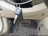 Miniaturka zdjęcia 11