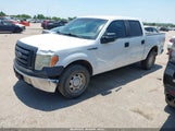 Ford F-150 Fx2 Sport/Harley-Davidson/King Ranch/Lariat/Platinum/Xl/Xlt 1FTFW1CV8AFB65749 photo