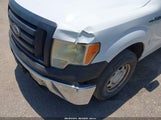 Ford F-150 Fx2 Sport/Harley-Davidson/King Ranch/Lariat/Platinum/Xl/Xlt 1FTFW1CV8AFB65749 fotografie