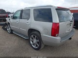 Cadillac Escalade Standard 1GYFK63897R210721 снимка