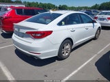Hyundai Sonata Se 5NPE24AF4GH360699 снимка