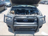 Ford Escape Xls 1FMYU92Z25KA75555 fotografie