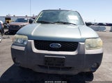 Ford Escape Xlt 1FMCU03185KE32428 снимка