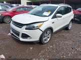 Ford Escape Titanium 1FMCU0J99DUB12594 снимка